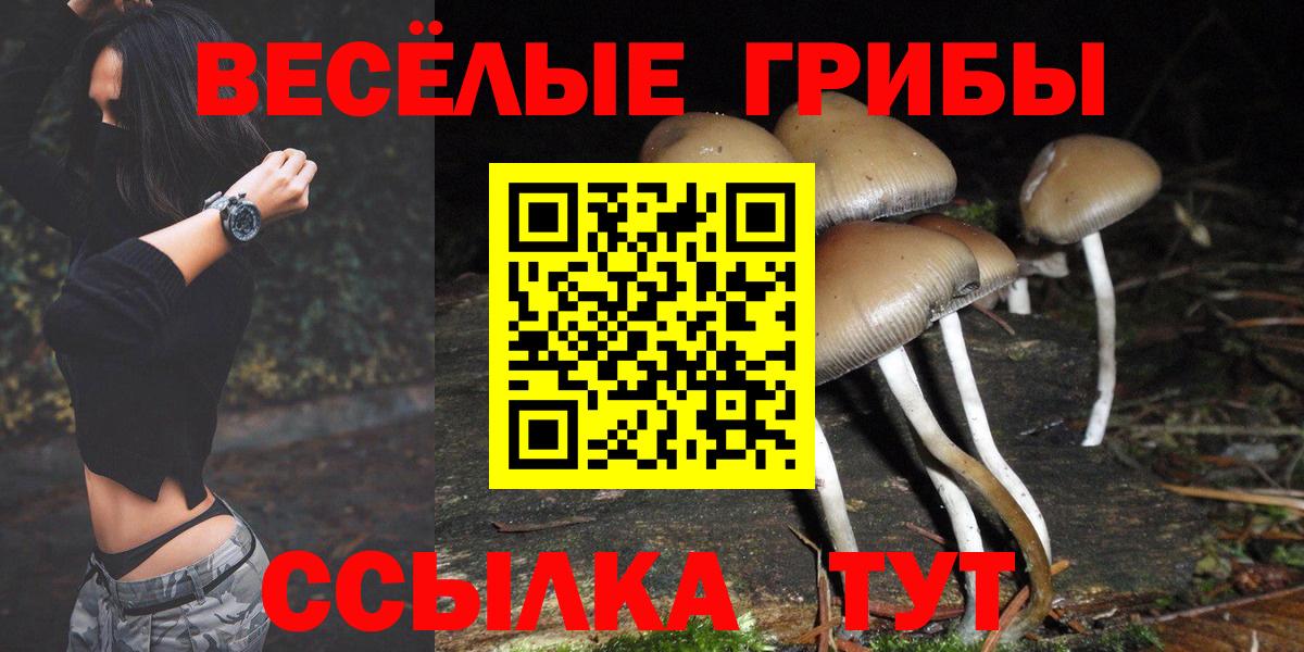 Галлюциногенные грибы ЛСД  Псилоцибиновые грибы Psilocybine cubensis  Вход с VPN  где купить наркотик  Урюпинск 